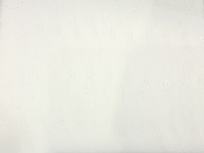 OSPRA0013